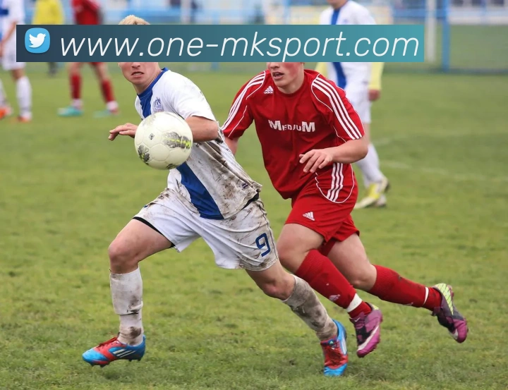 MK体育服务体系